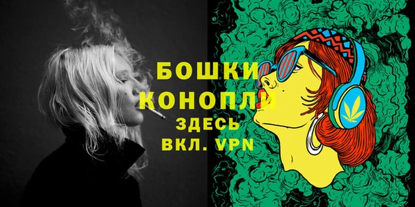 мдпв Богданович