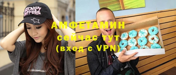 мдпв Богданович