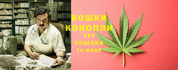мдпв Богданович